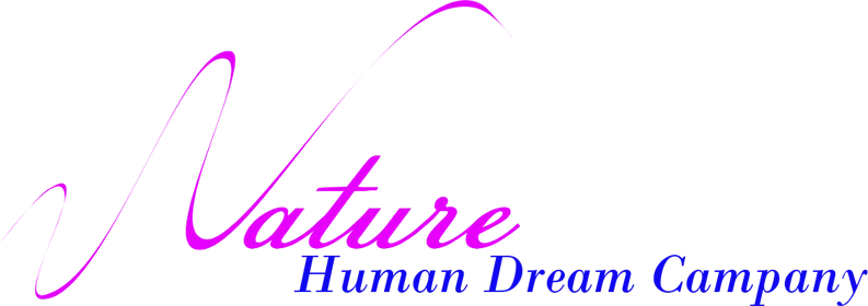 回送ドライバーバイトの仕事内容と収入の実態を具体的に解説